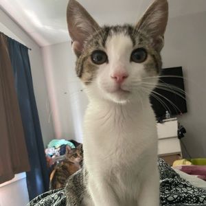 Meet your Posher, Rachael